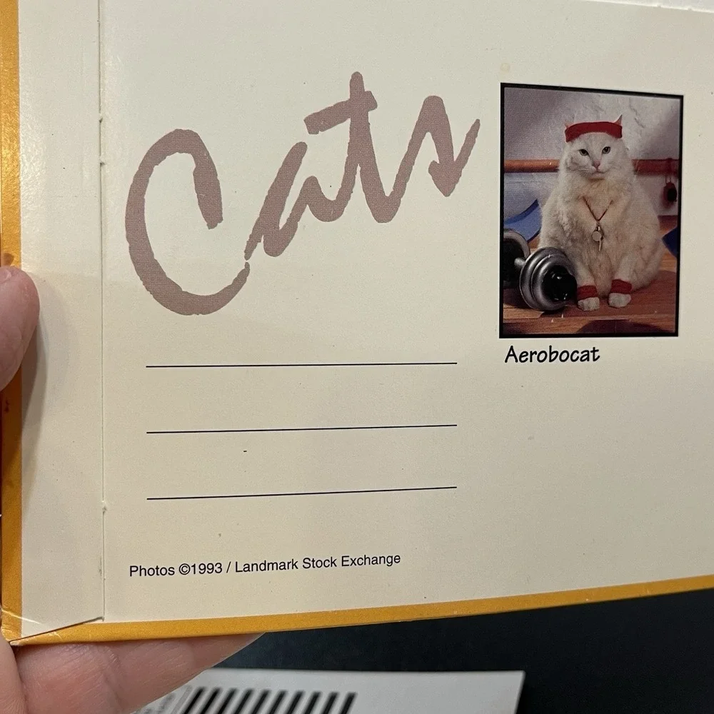 Vintage Cat Folders Stuart Hall 1993 Kittens Animal School Supplies 90s Retro